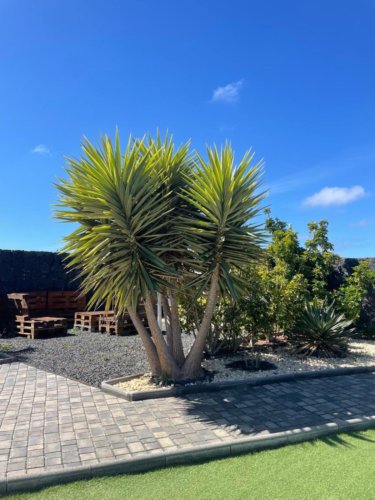 Villa Jaira La Vegueta 外观 照片